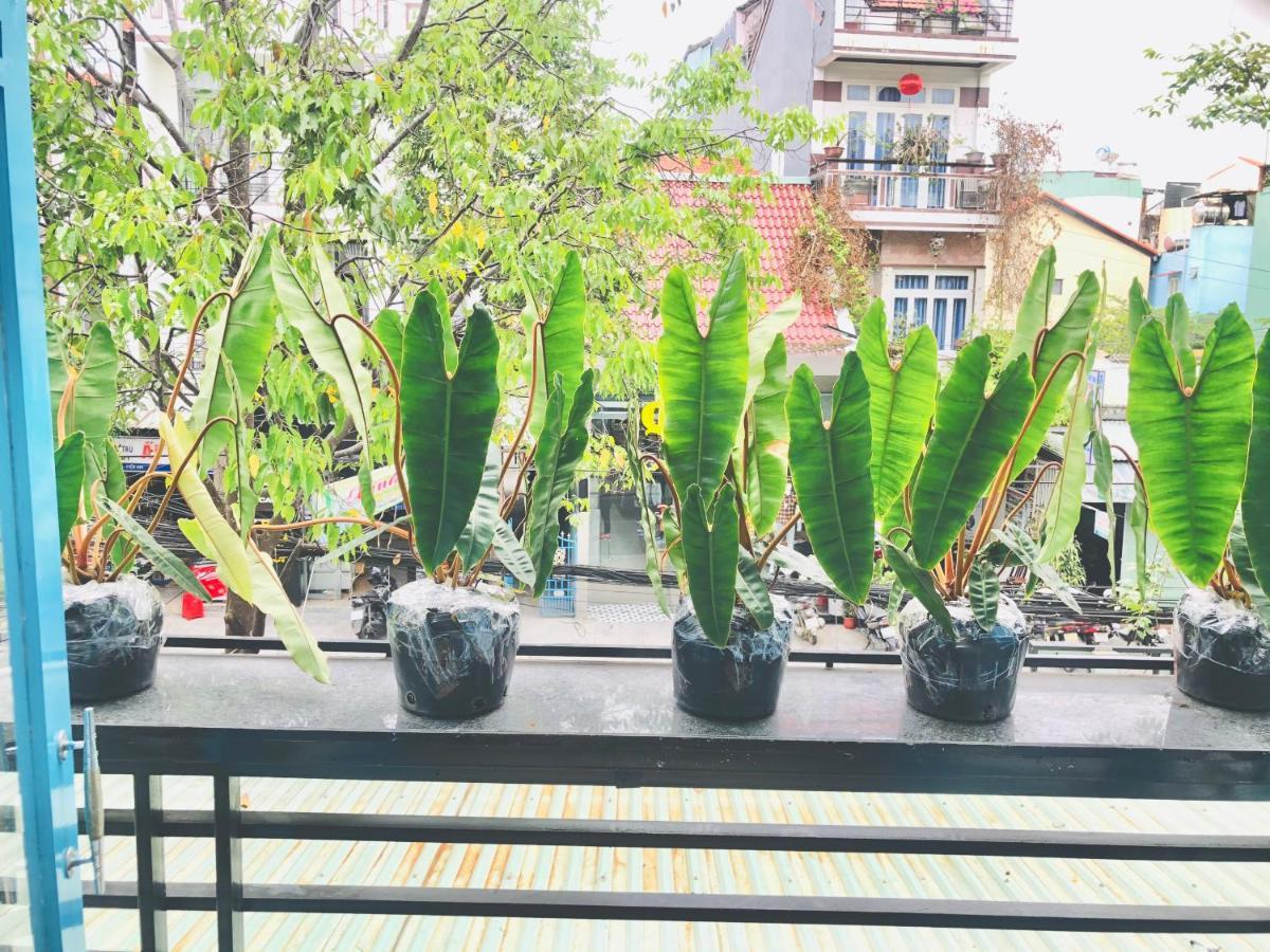 An'S Family Homestay Hoi An - 5Mins Walk To Hoi An Ancient Town Экстерьер фото